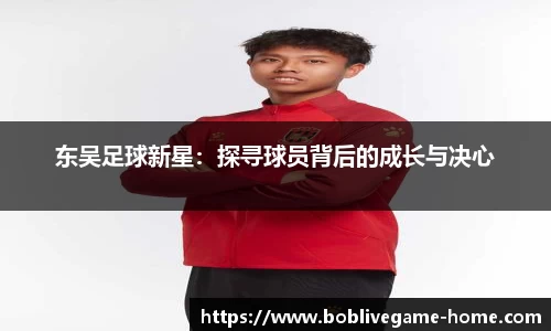bob真人官网