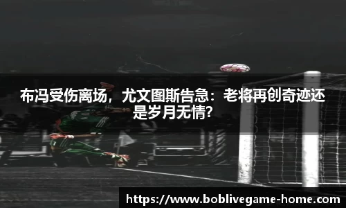 bob真人
