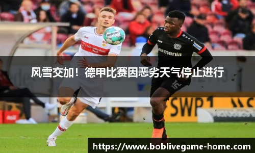 bob真人