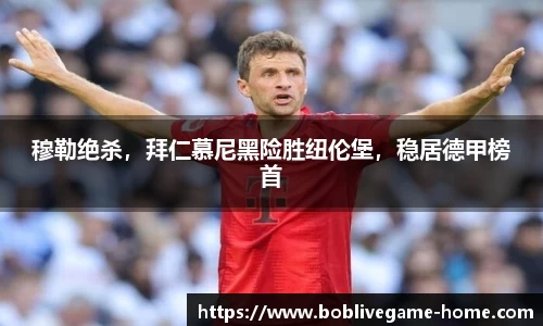 bob真人入口